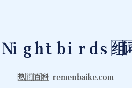 Nightbirds组词是什么意思的图片